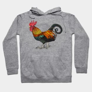 Cockatrice Hoodie